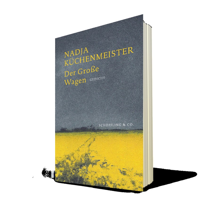Cover: Der Große Wagen